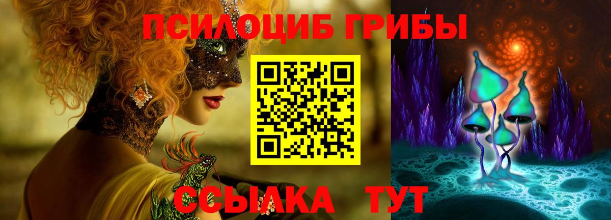 Киржач  Галлюциногенные грибы прущие грибы  Вход с VPN 